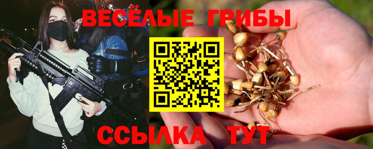 Псилоцибиновые грибы мухоморы  Вход с VPN  Кисловодск 